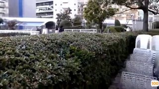 日本美女做a一级视频_刚刚更新18禁成人视频